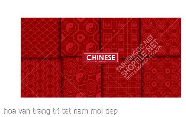 hoa van trang tri tet nam moi dep